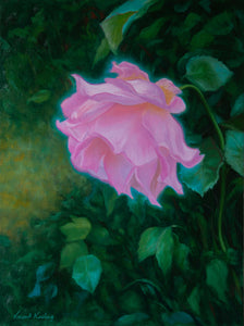 Secret Garden A Pink Rose Painting