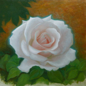 New Beginnings: A White Rose Painting