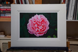 Creation VI - medium print includes mount!